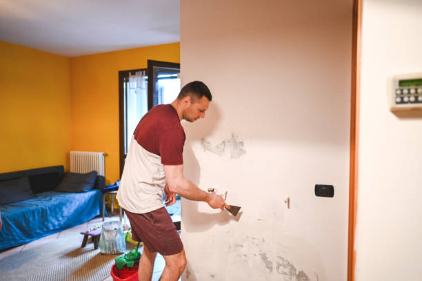 Best Office Mold Removal Services  in Cheswold, DE